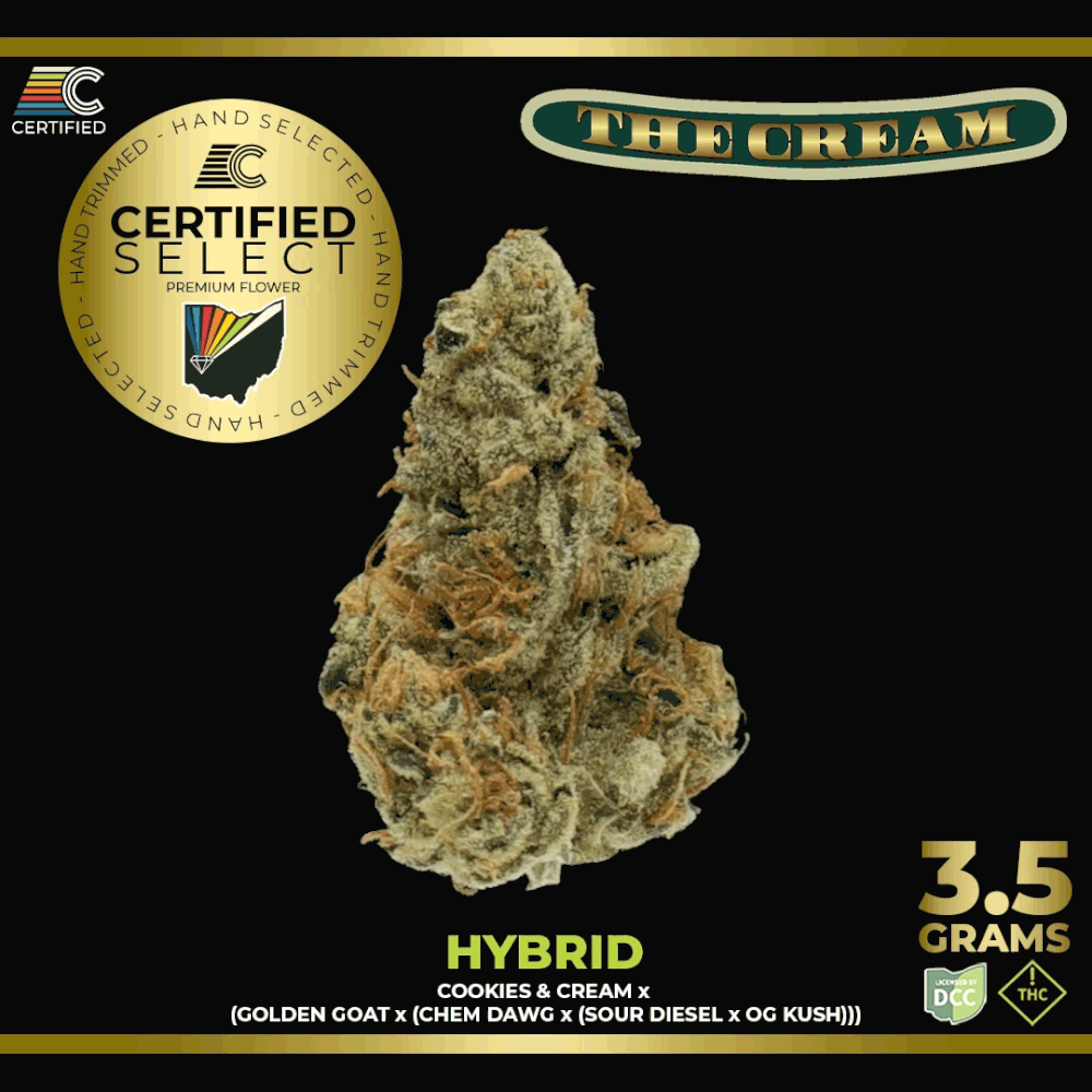 バイオプランタ　ハイドラビット　クリーム The Cream Strain | Hybrid Cannabis Flower | CERTIFIED Cultivators